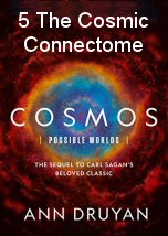 The Cosmic Connectome